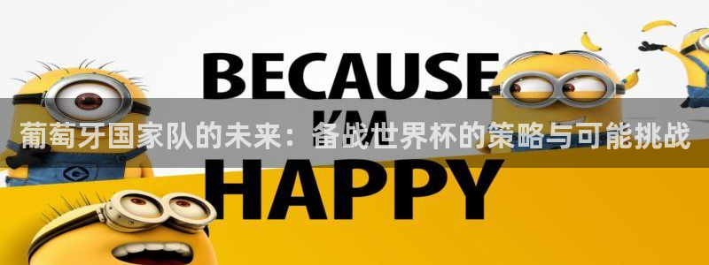 2006世界杯:葡萄牙国家队的未来:备战世界杯的策略与可能挑战
