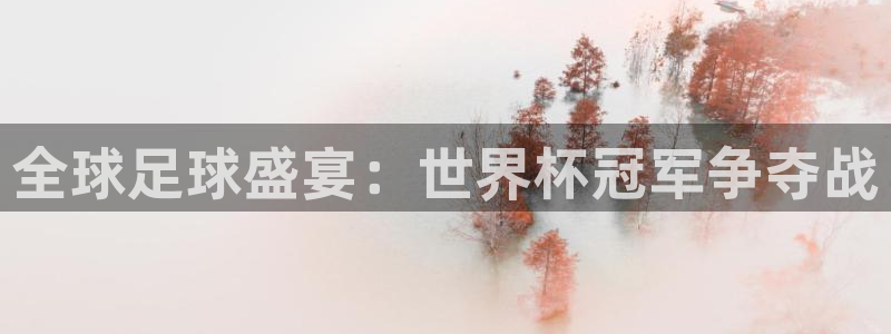 2026世界杯亚洲区预选赛赛程:全球足球盛宴:世界杯冠军争夺战