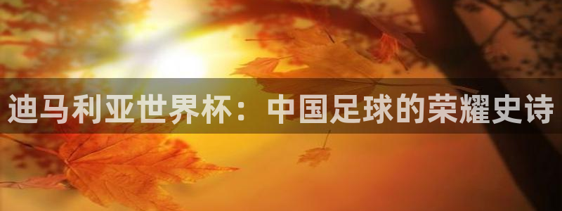 世界杯亚洲区预选赛赛程:迪马利亚世界杯:中国足球的荣耀史诗