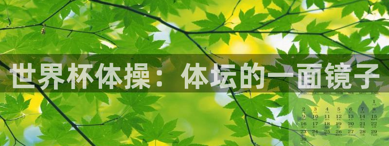 世界杯足球直播:世界杯体操:体坛的一面镜子