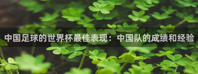 欧洲世界杯预选赛赛程:中国足球的世界杯最佳表现:中国队的成绩和经验