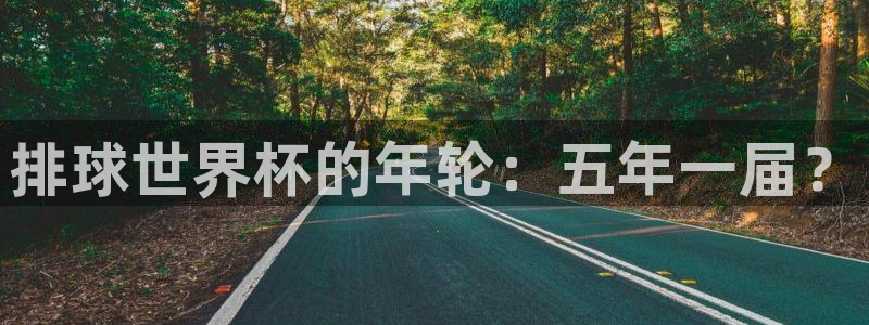 2026世界杯欧洲预选赛赛程表:排球世界杯的年轮:五年一届?