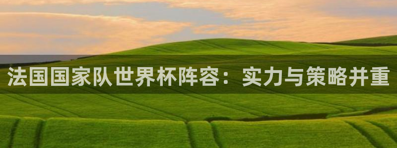 2026世界杯德国队阵容:法国国家队世界杯阵容:实力与策略并重