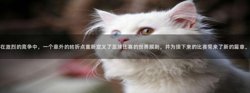 2026世界杯赛程:在激烈的竞争中,一个意外的转折点重新定义了足球比赛的世界规则,并为接下来的比赛带来了新的篇章。