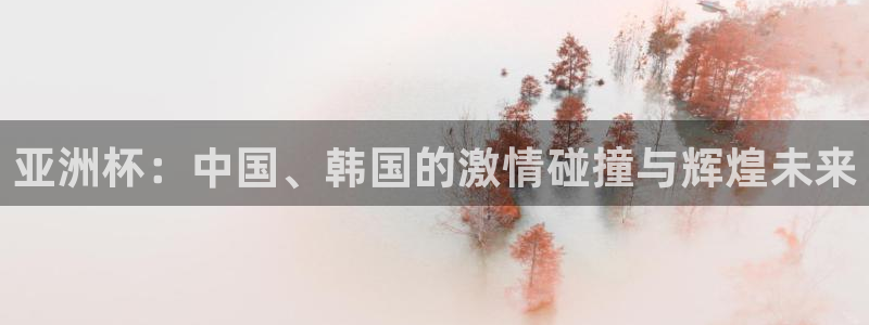 世界杯女足直播:亚洲杯:中国、韩国的激情碰撞与辉煌未来